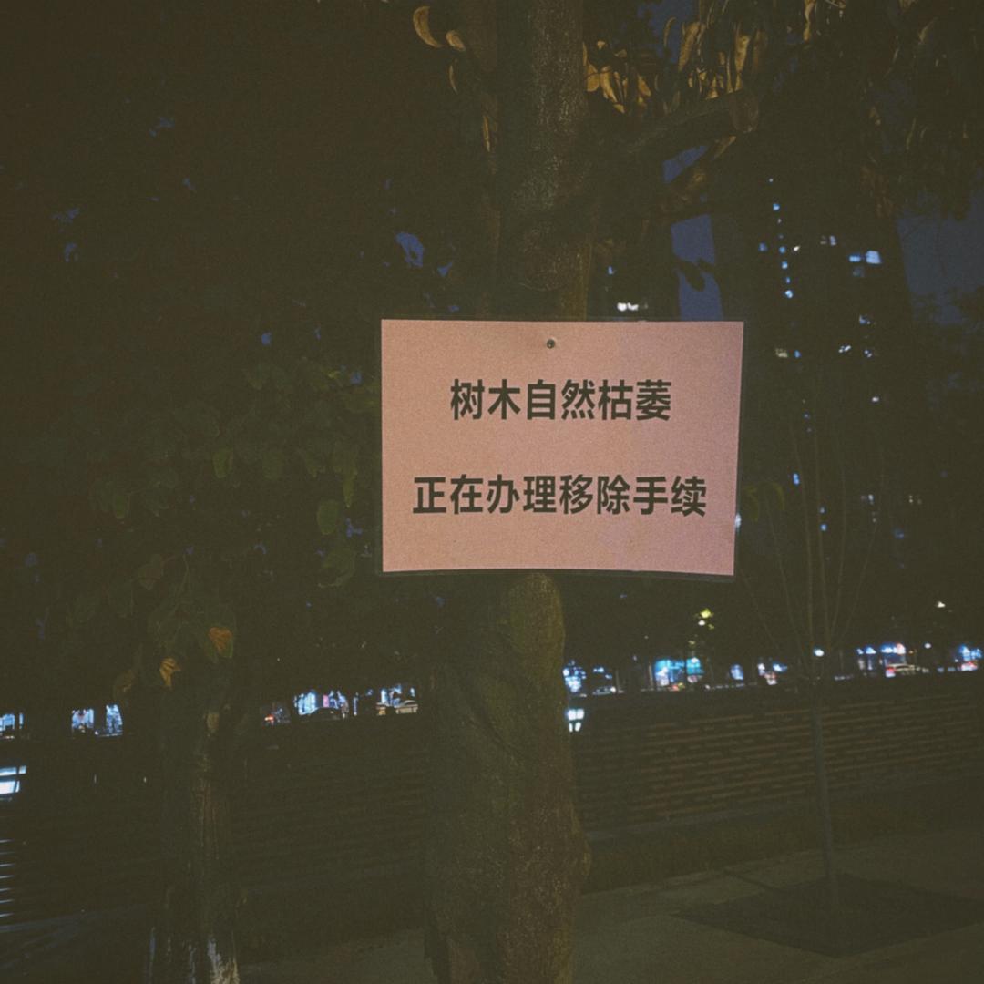 用户Dongqing