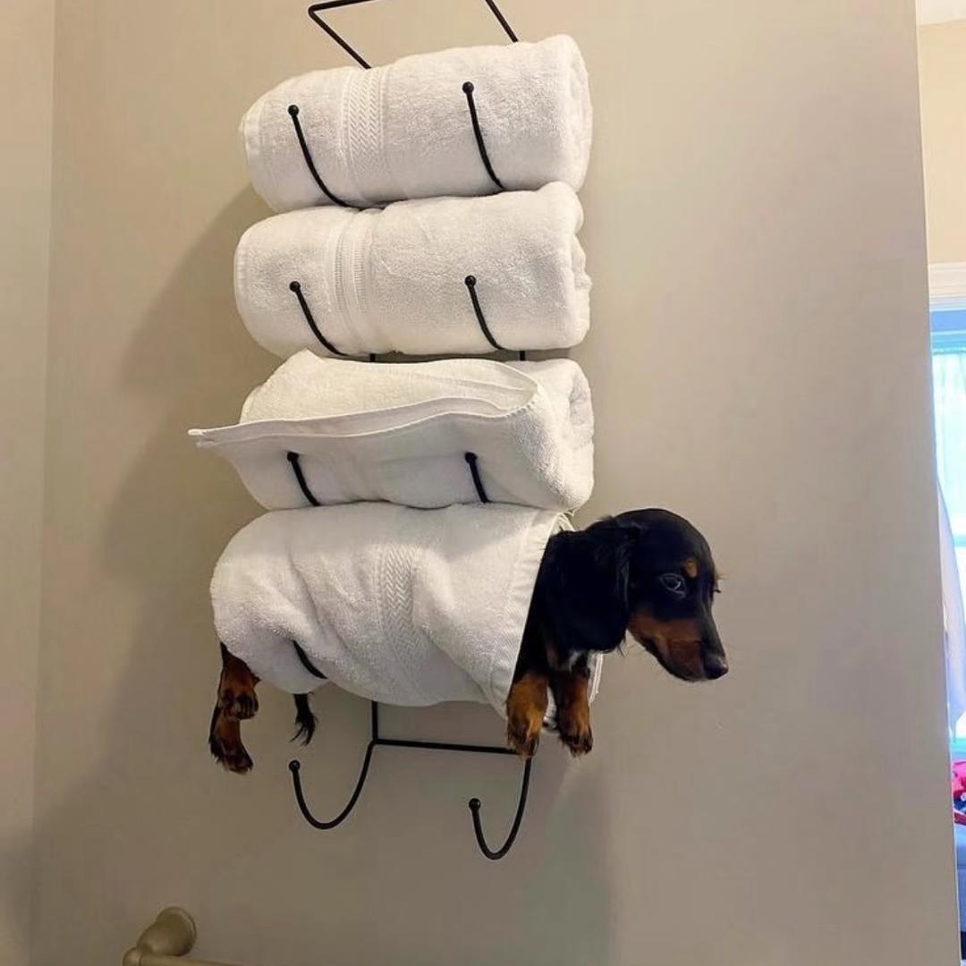 设置一个新名字