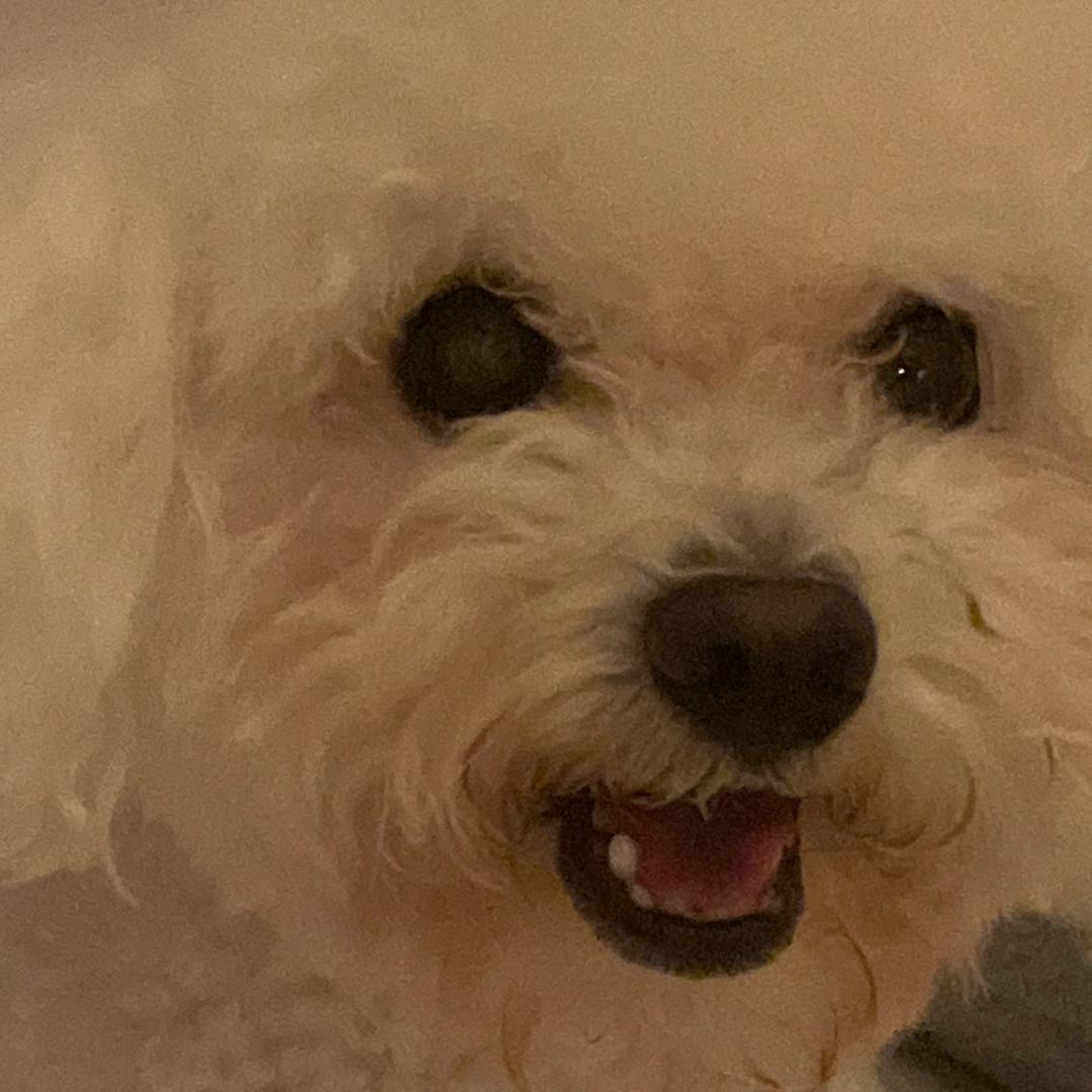 是小徐