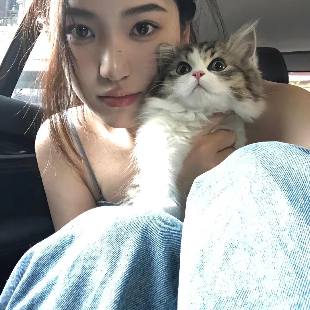 文心宠物用品仓