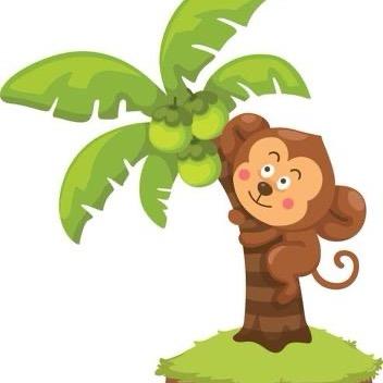 一棵小椰子🏝️