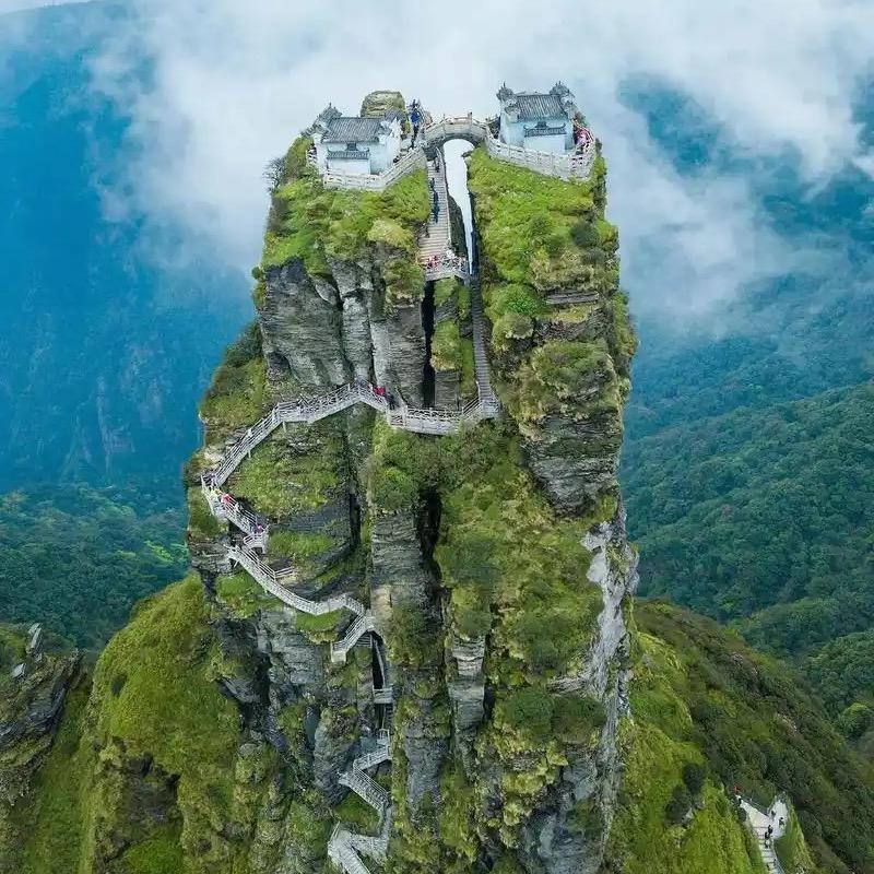 阿岩严选