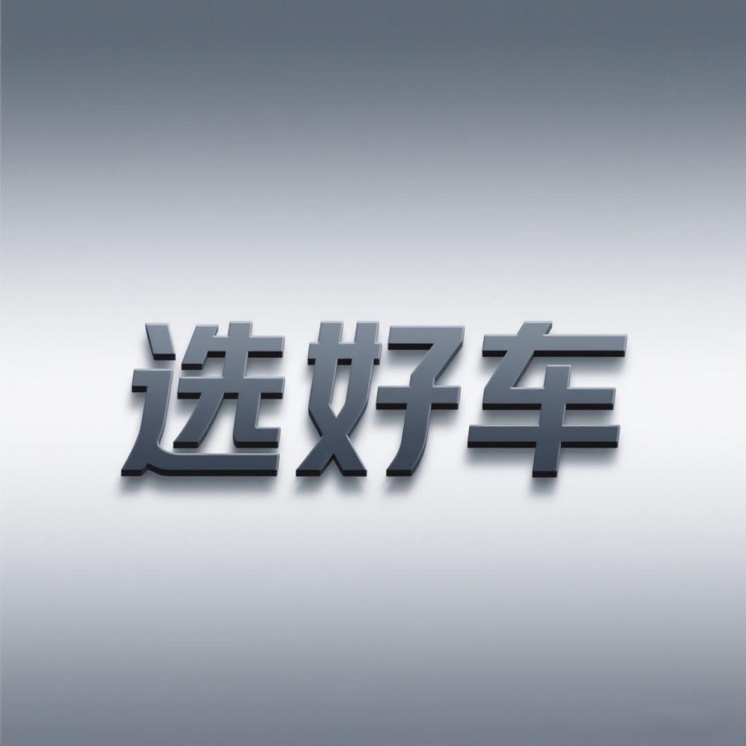 选好车-阿龙说猛龙