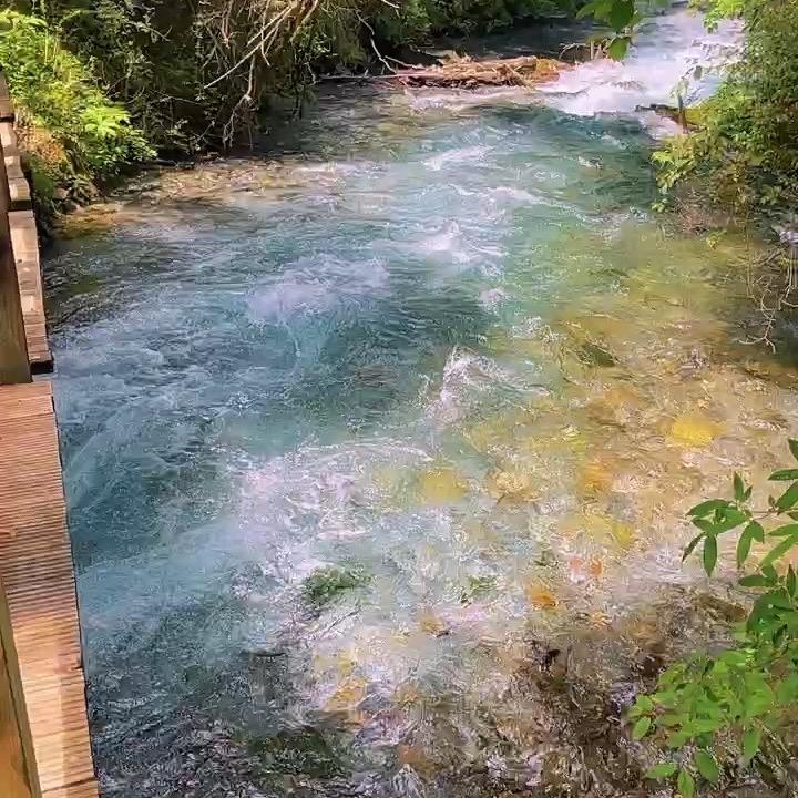 老妹儿首播筹备中