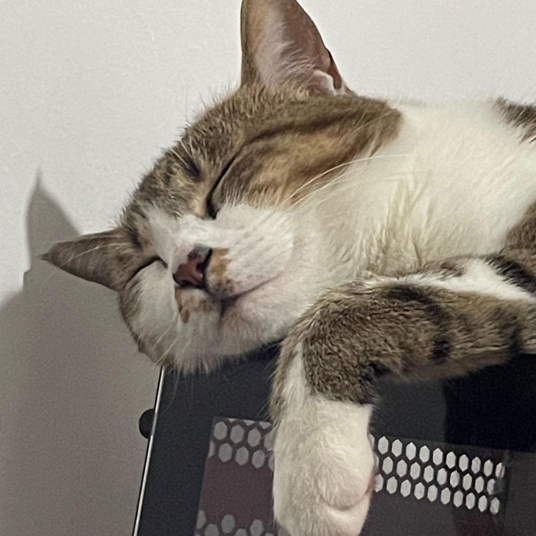 鸡碧你