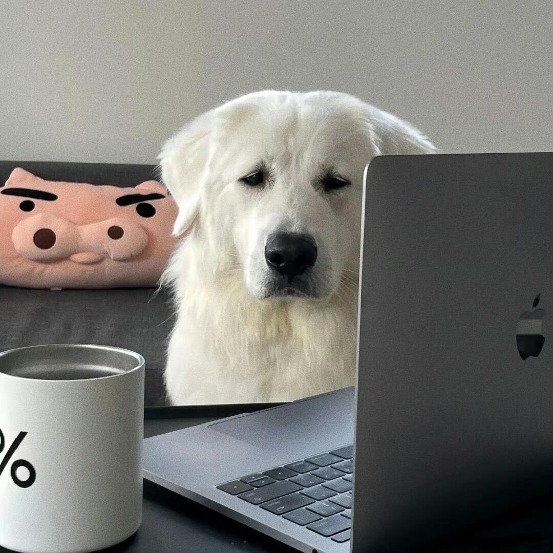 蓝先生