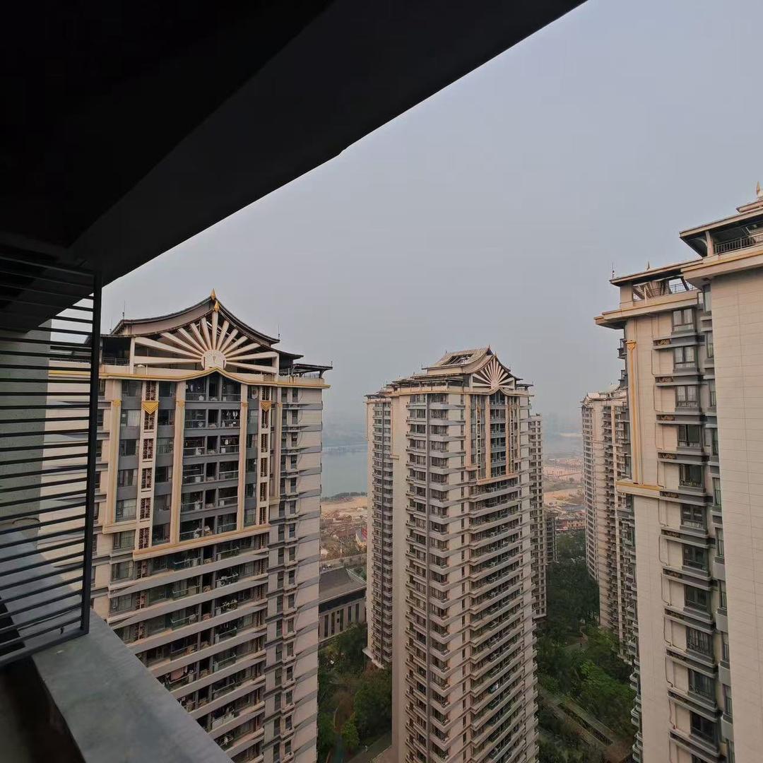 小海豚母婴