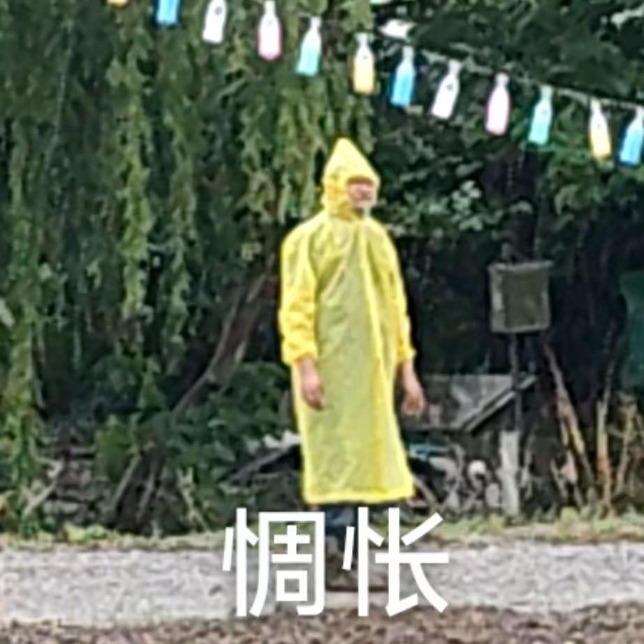 如你所院的小蜜蜂