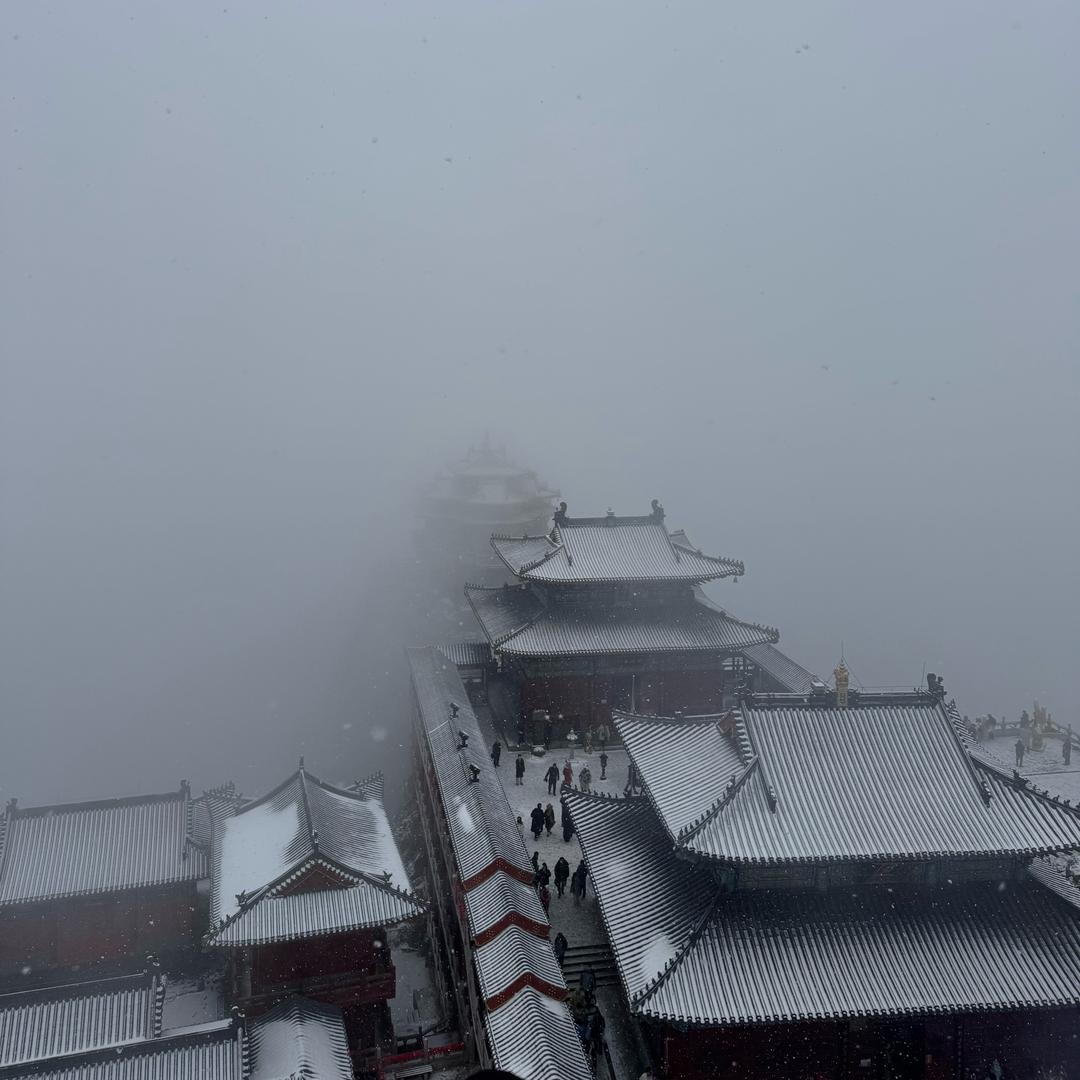 手慢无