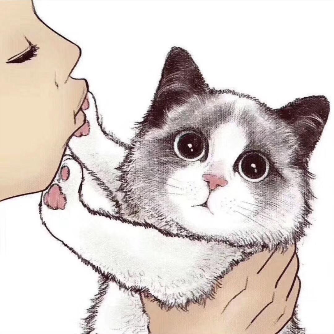 巷喵