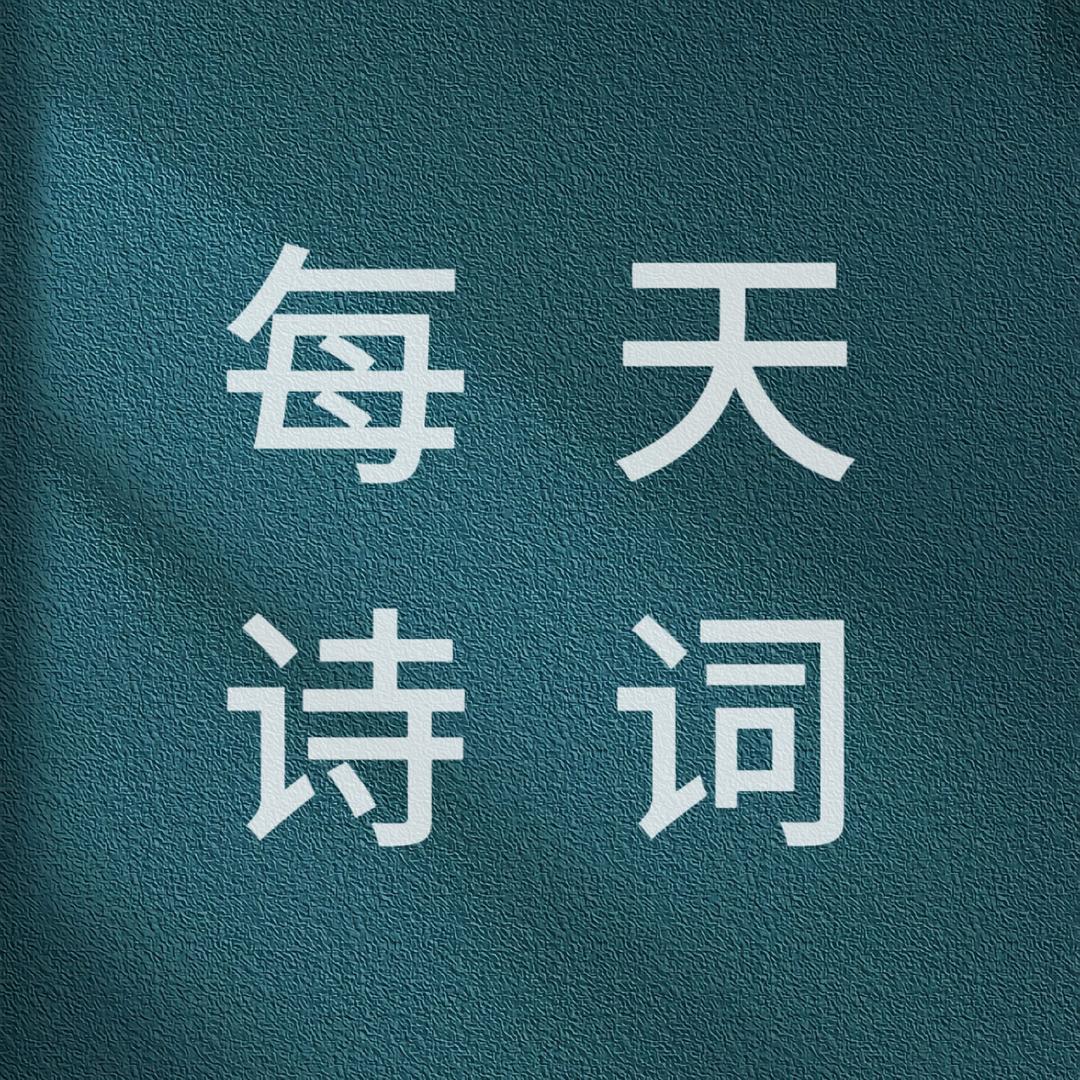 每天诗词