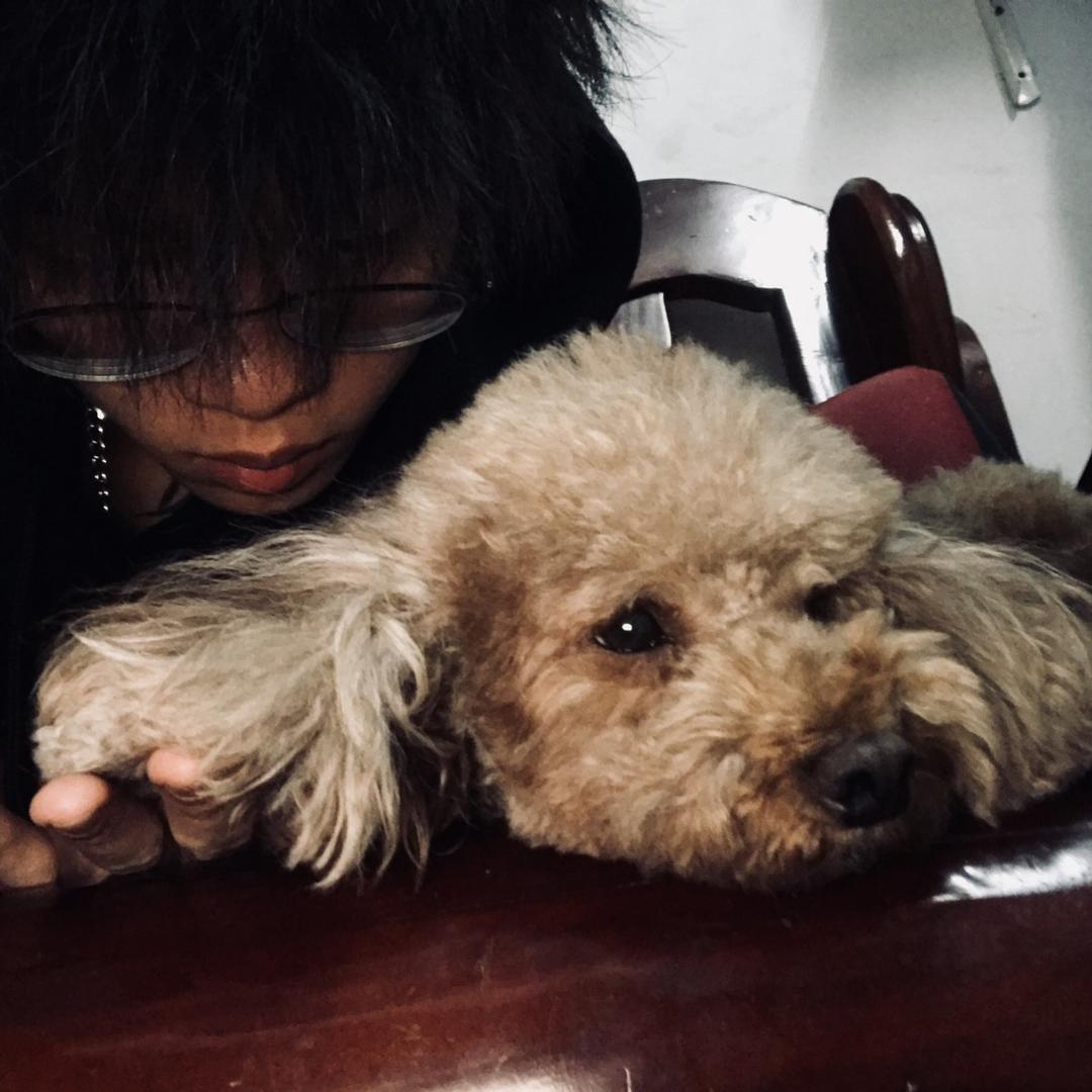 a佛山洪囍龍獅策划🦁陈团长