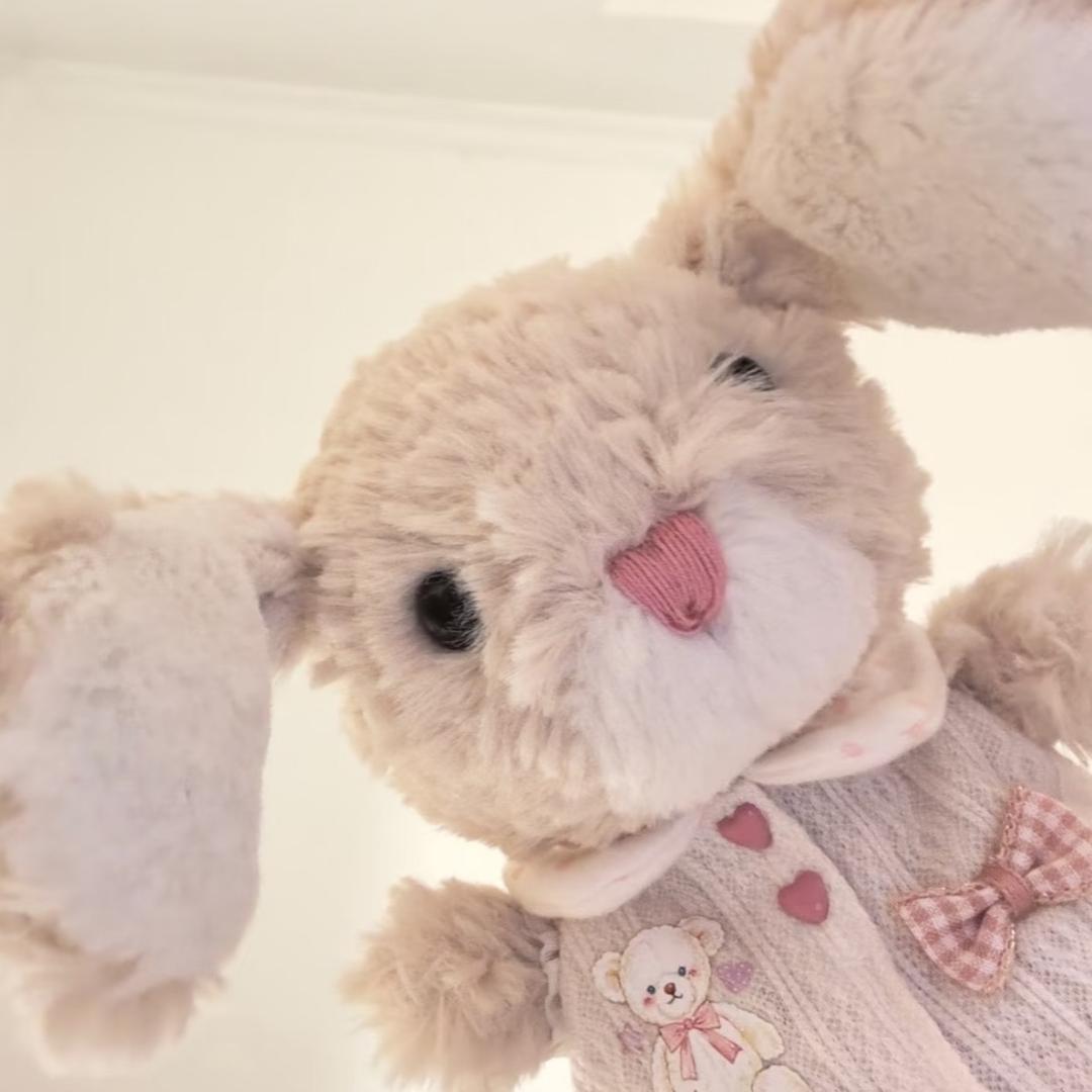 兔兔🐰