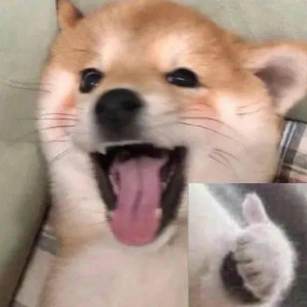 理智