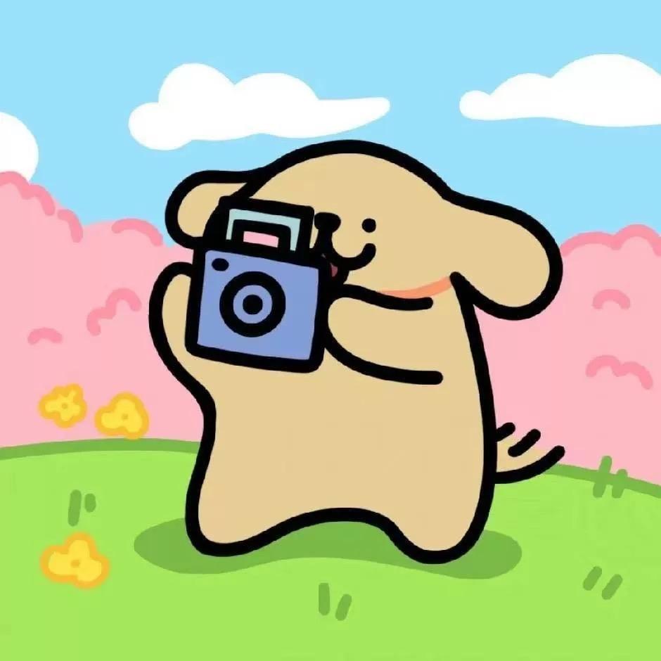 华永数码收相机——先款后货