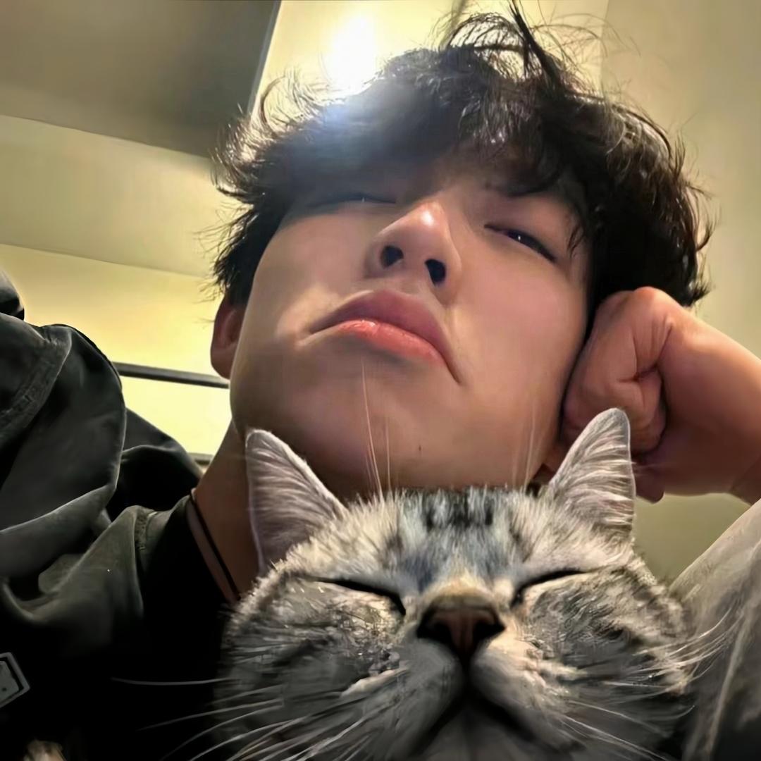 ㅤㅤㅤㅤㅤㅤㅤㅤ ㅤㅤㅤㅤㅤㅤ