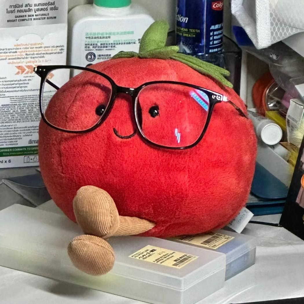 番茄学姐（上岸版）