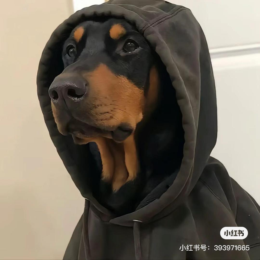 🌈李二狗