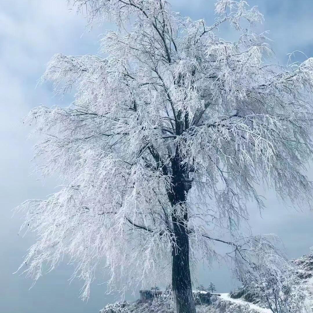 越过头像
