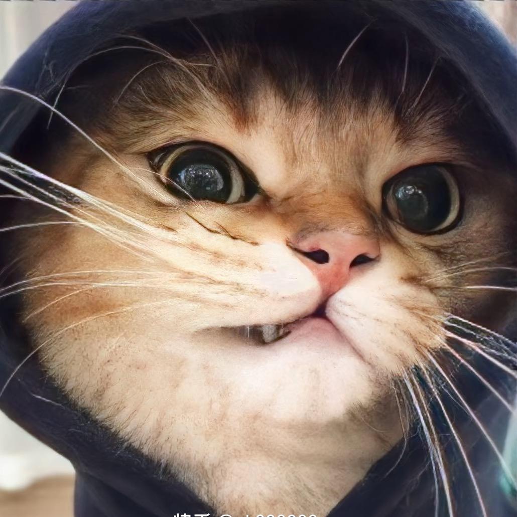 叫个張國荣🇨🇳