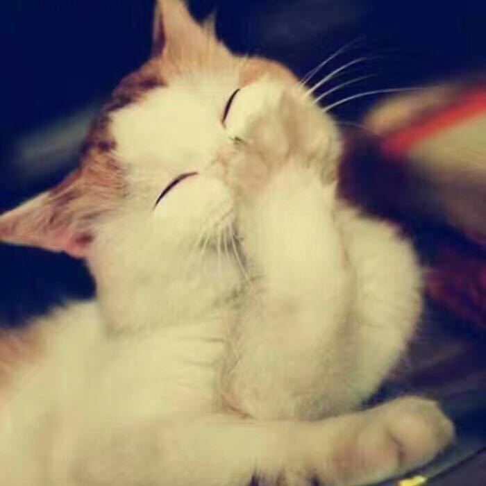 菲儿