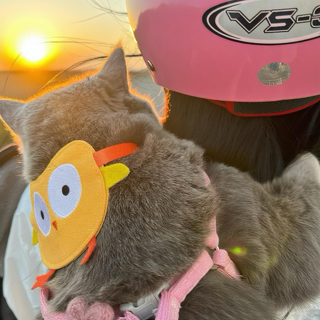 宗介