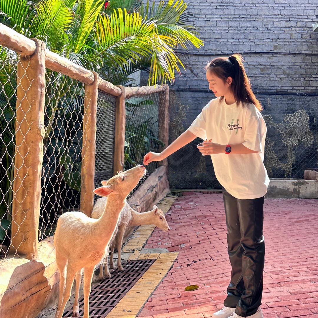 舞时尚 小🐑～