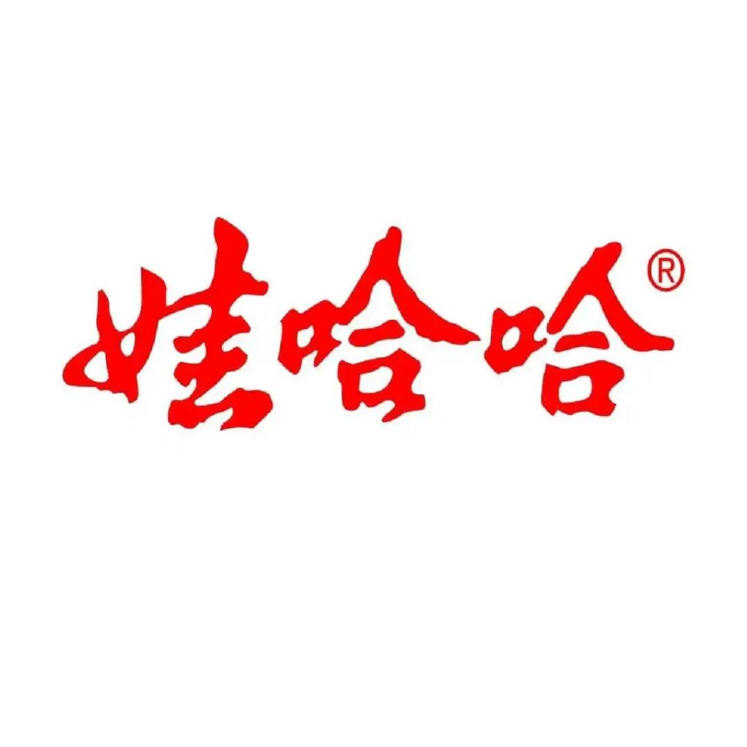 娃哈哈-文文直聘(中智教育培训）