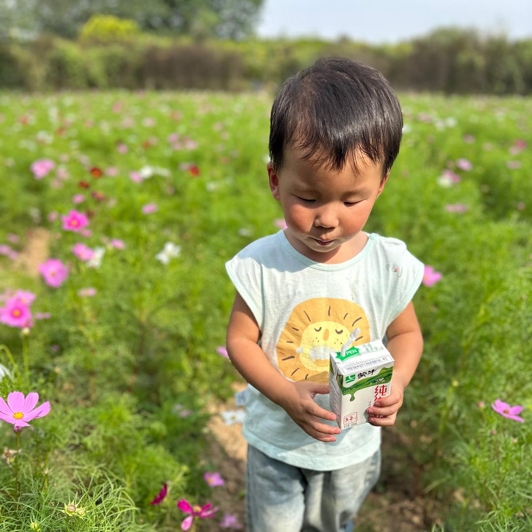 人生不过是一场旅行