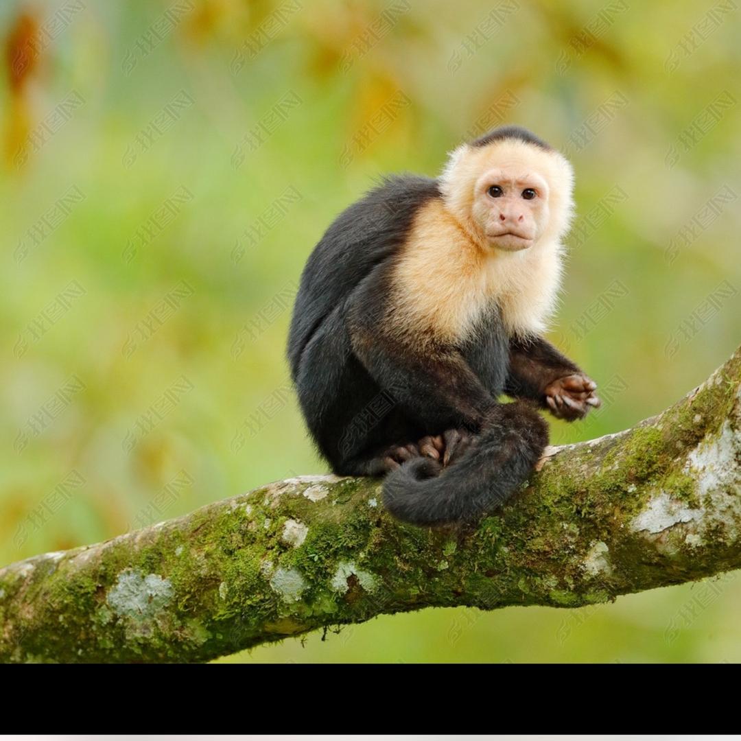 人与自然编辑部