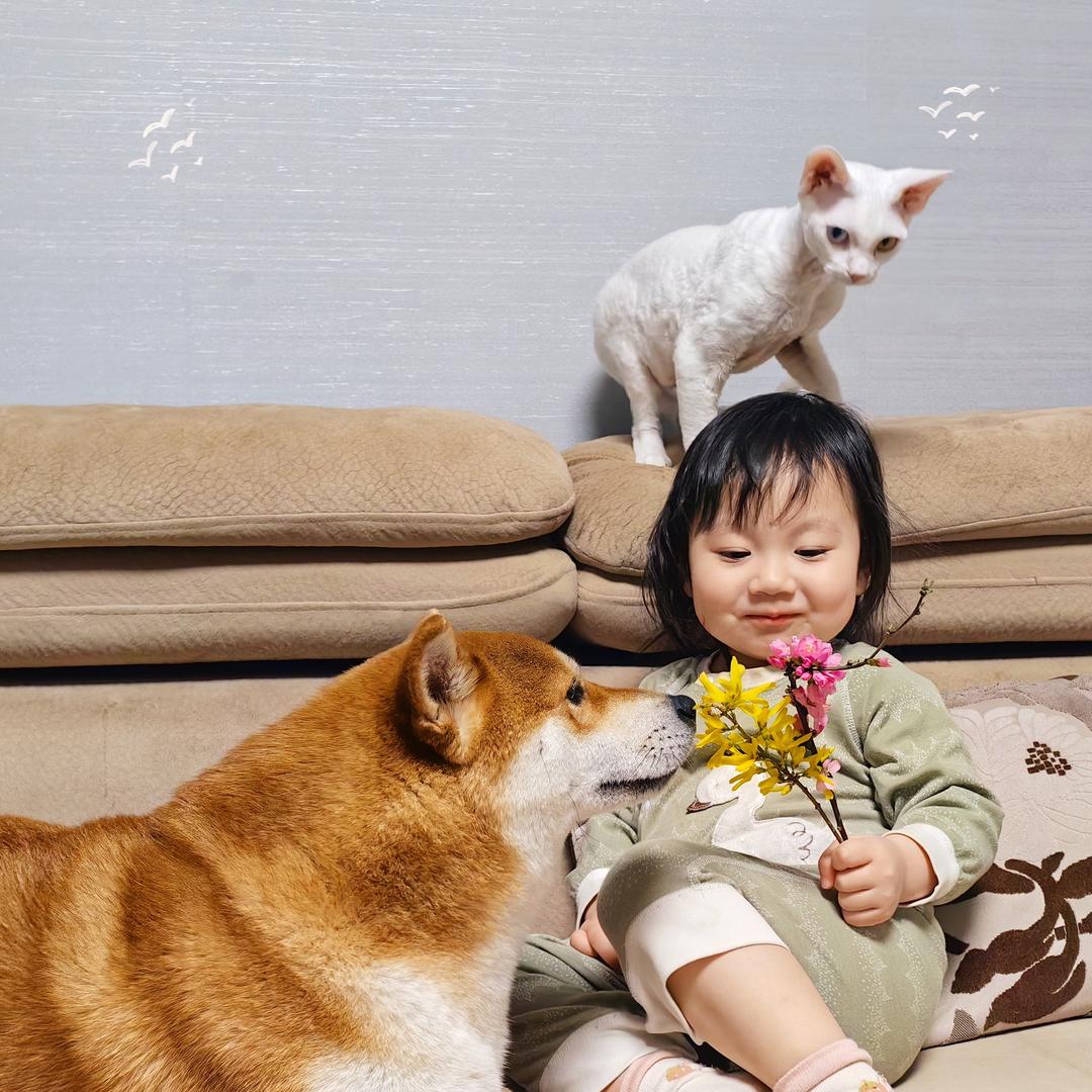 ❤️柴柴❤️目目