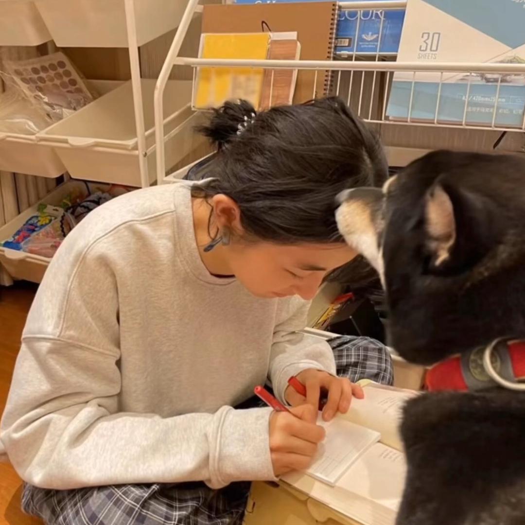 又寻淮洲