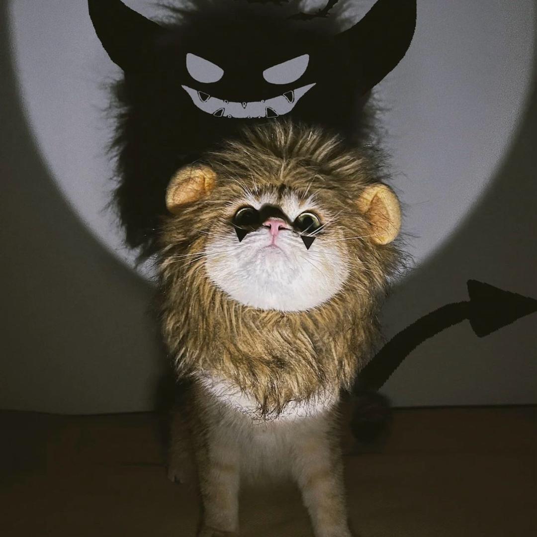 爱笑🧸