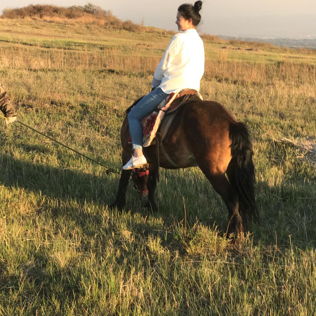 星光下的梦旅人🌟