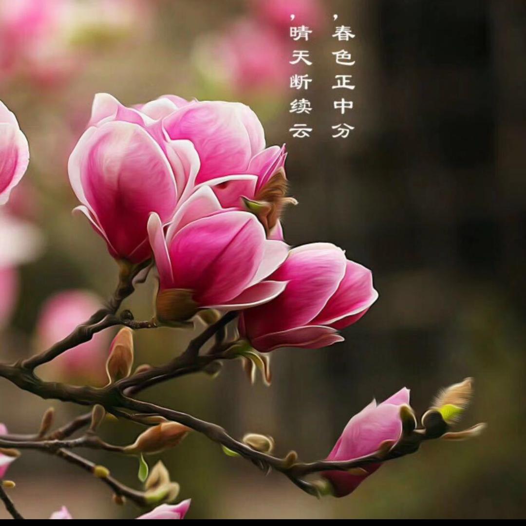 戏迷