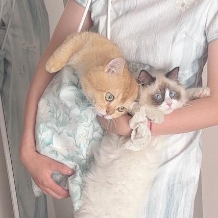 小小十六