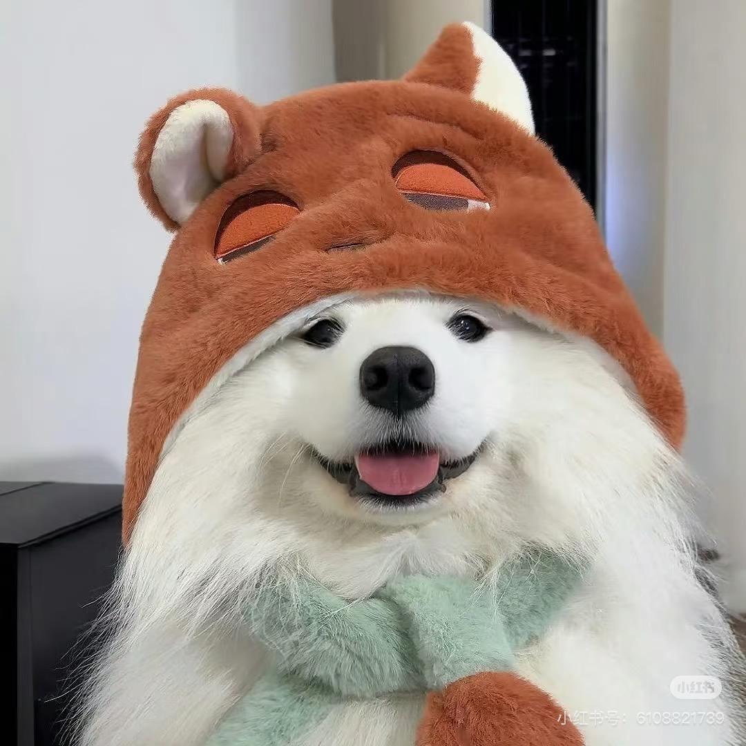 再睡一分钟.
