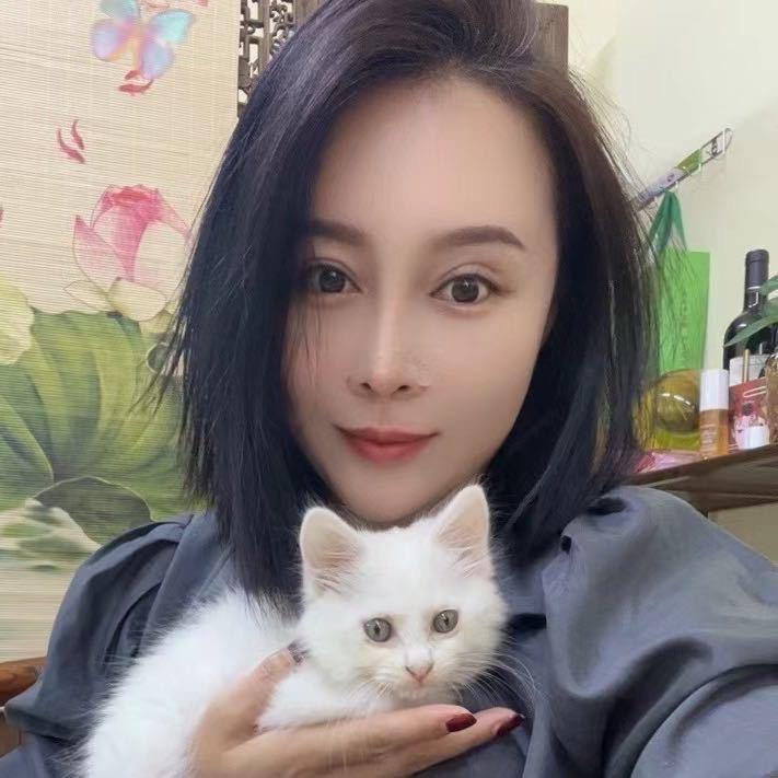 鑫鱼