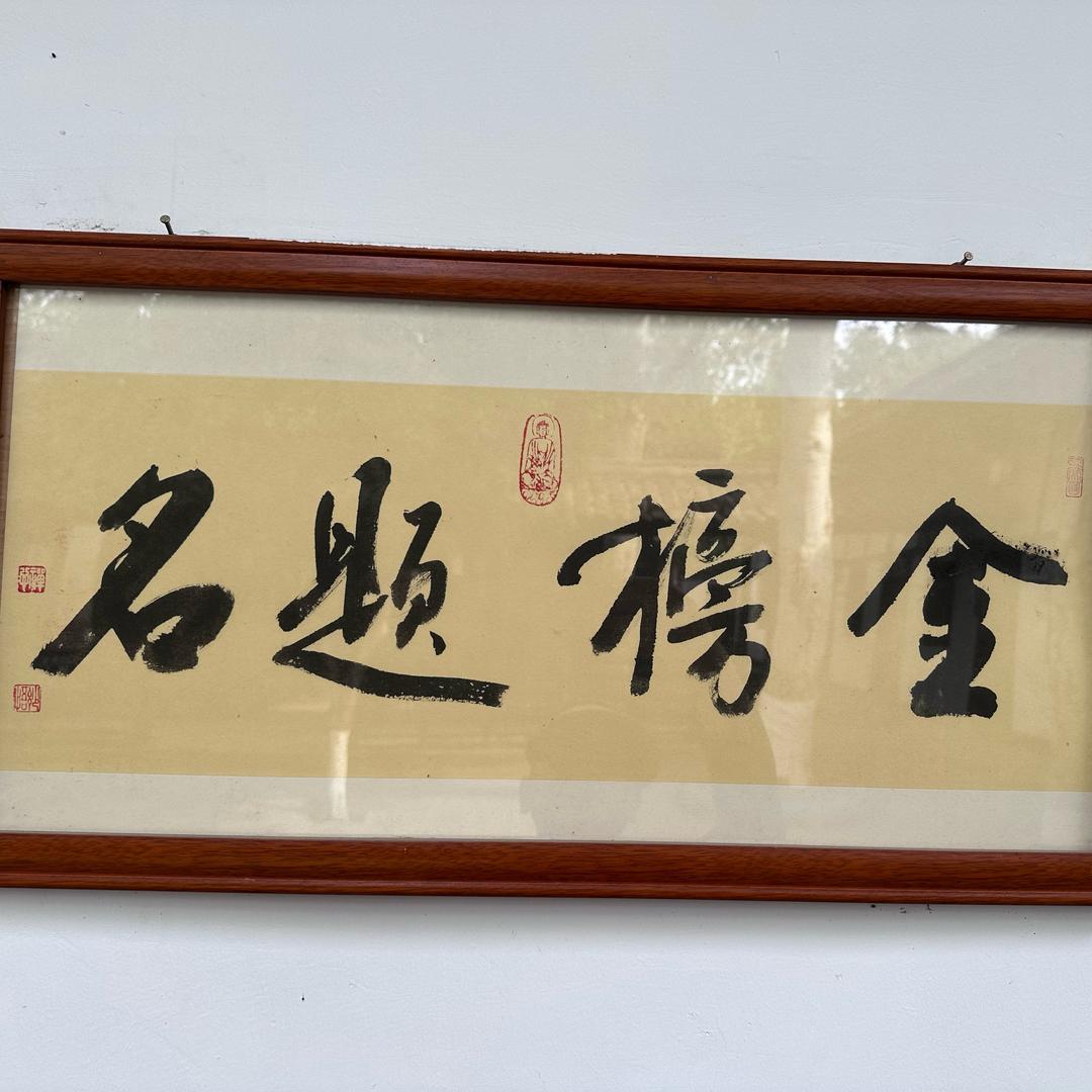 小飞猪来啦
