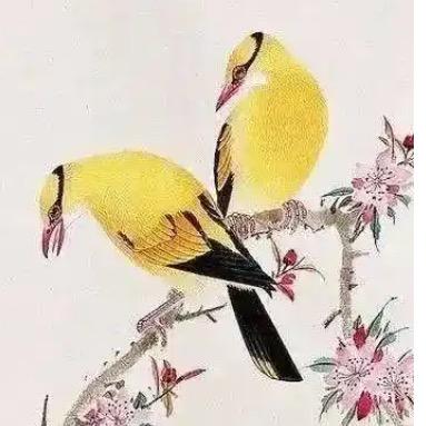 方合