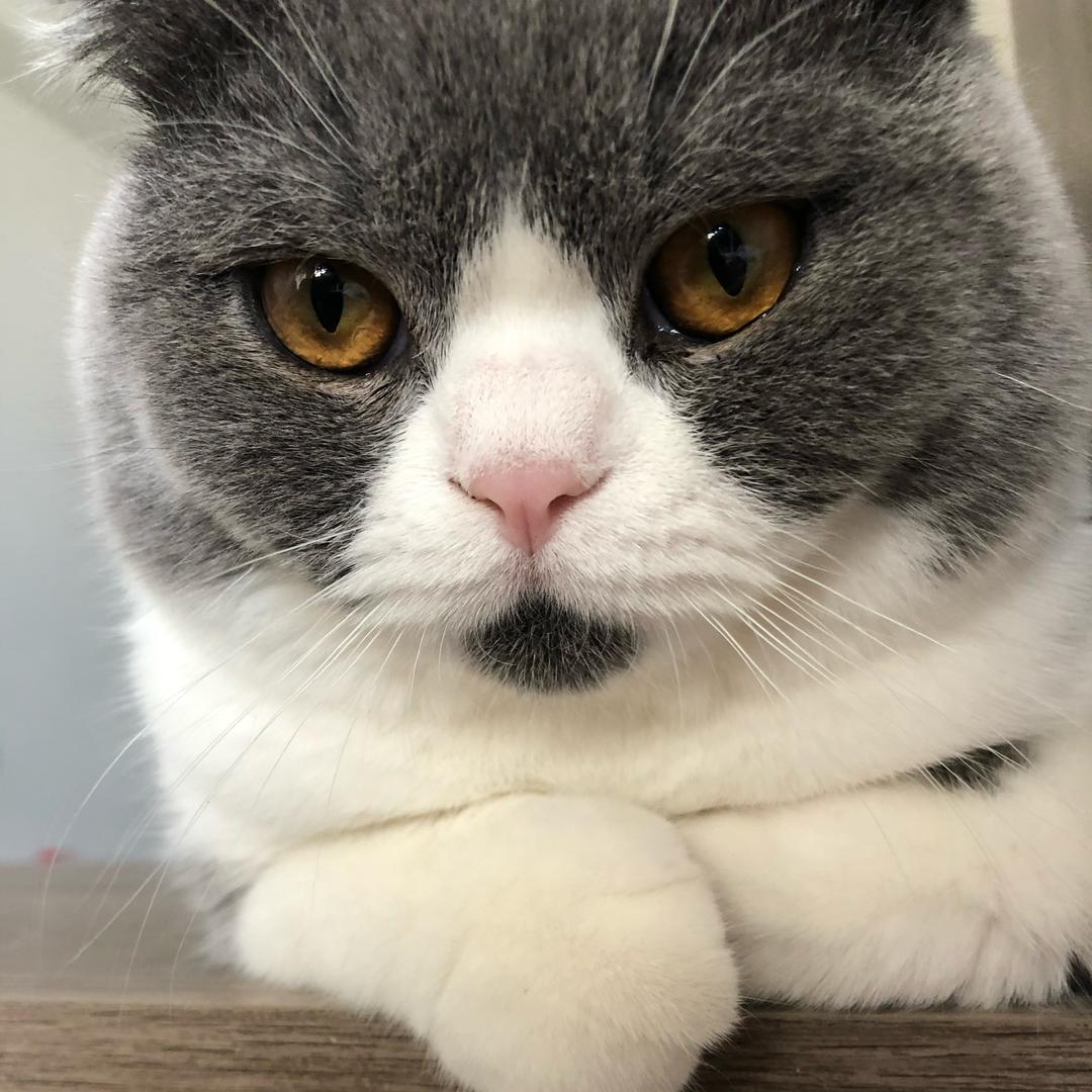 Ki.