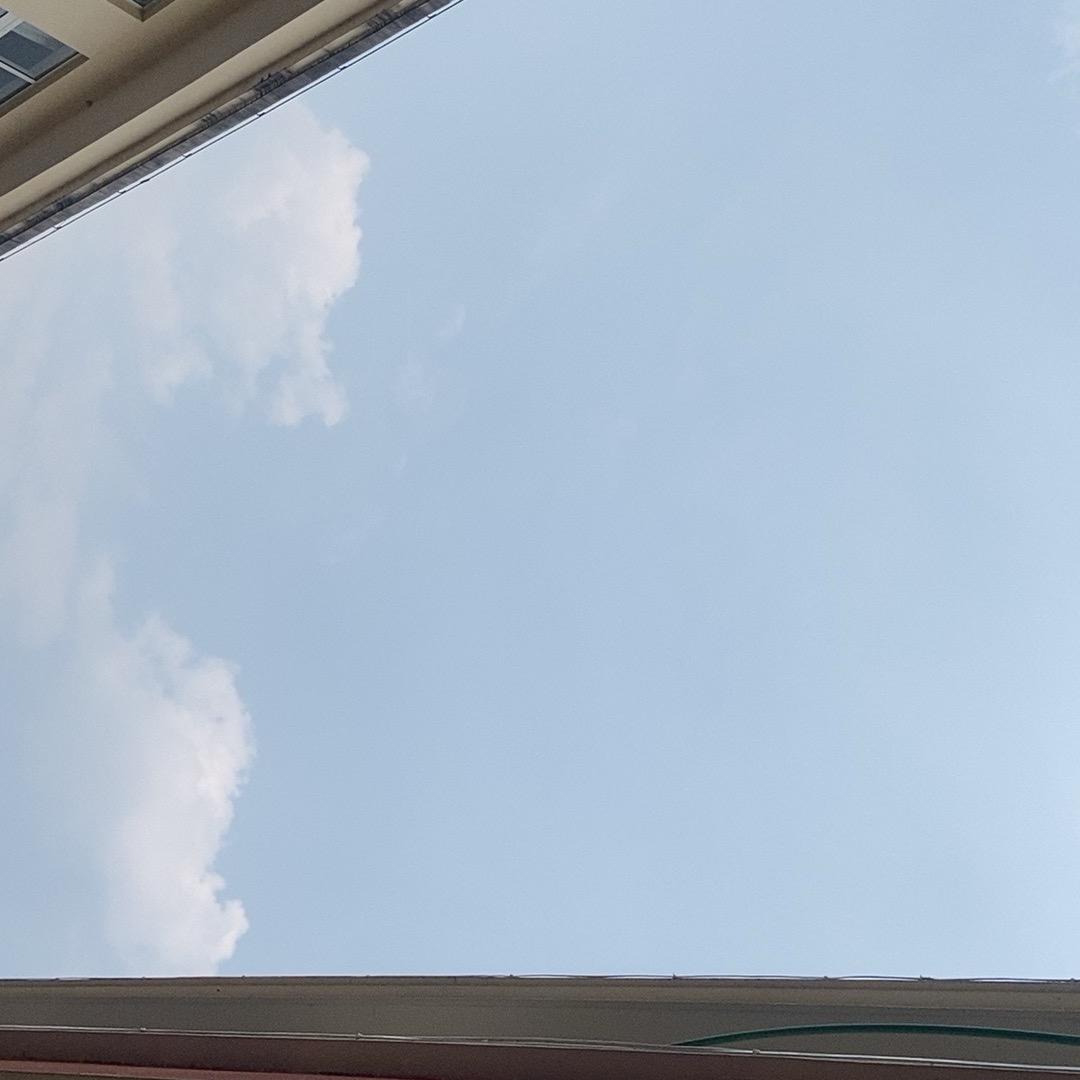 藻湾山货