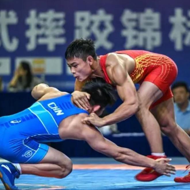 “三星斗皇强者”