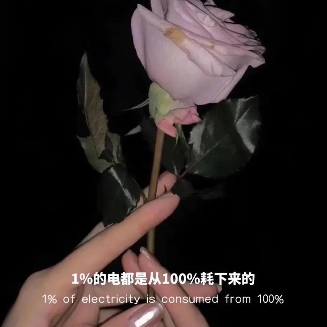秋姐姐姐姐