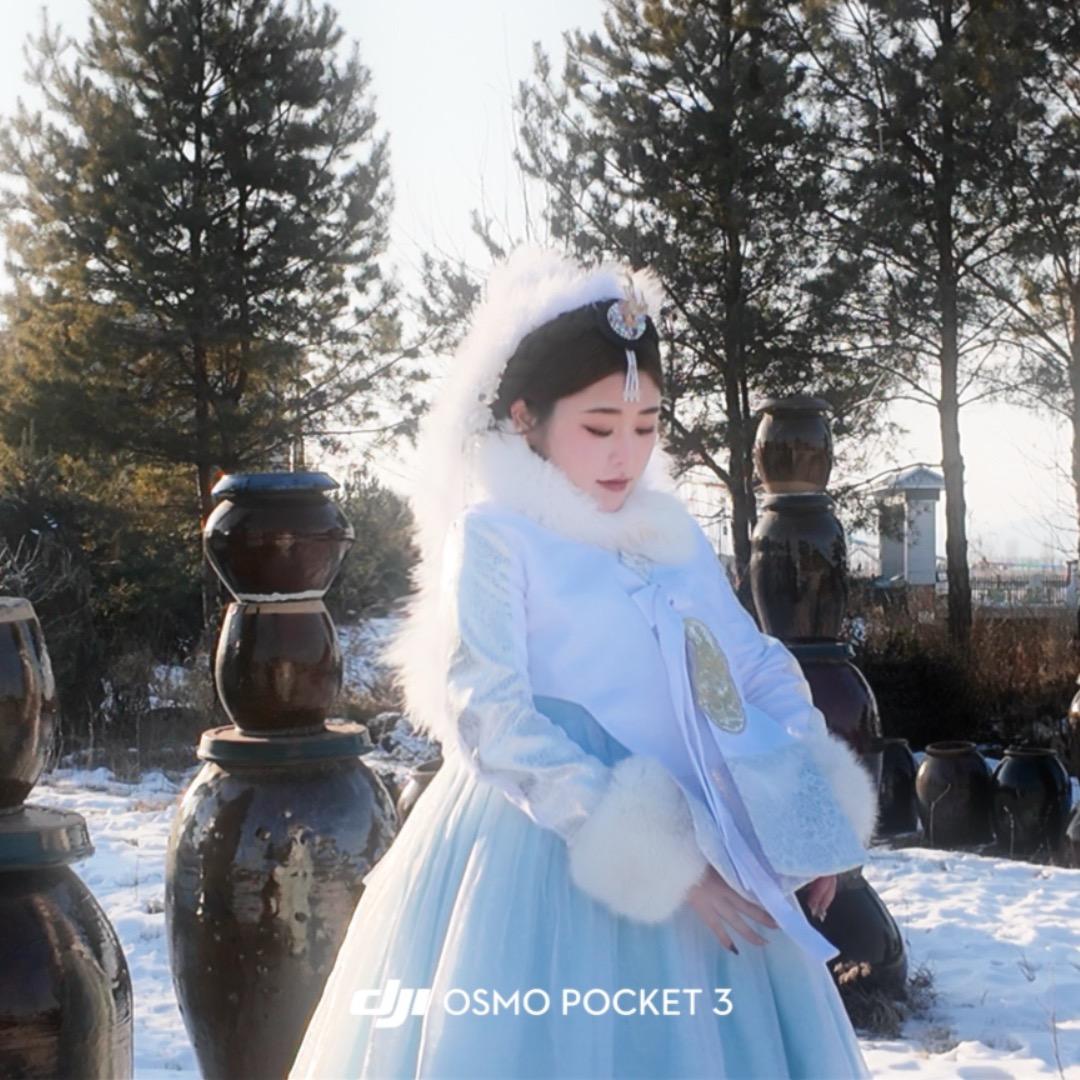 是一颗小橙子🍊