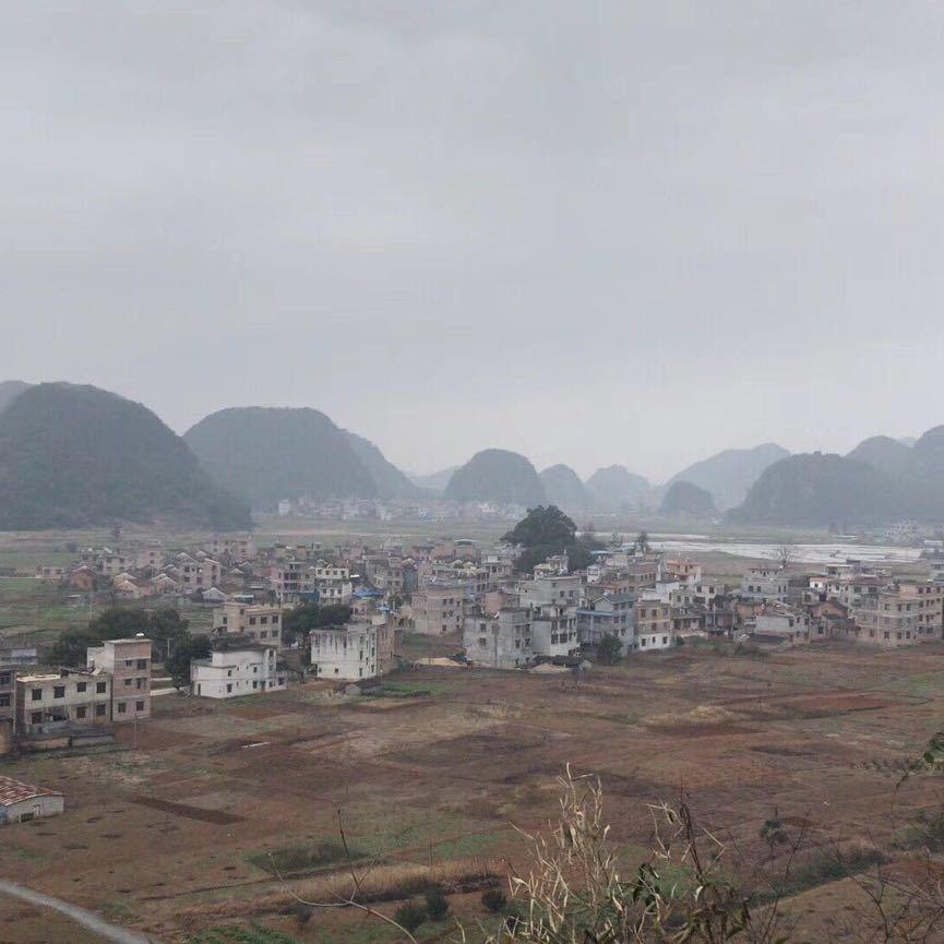 LANG哥头像