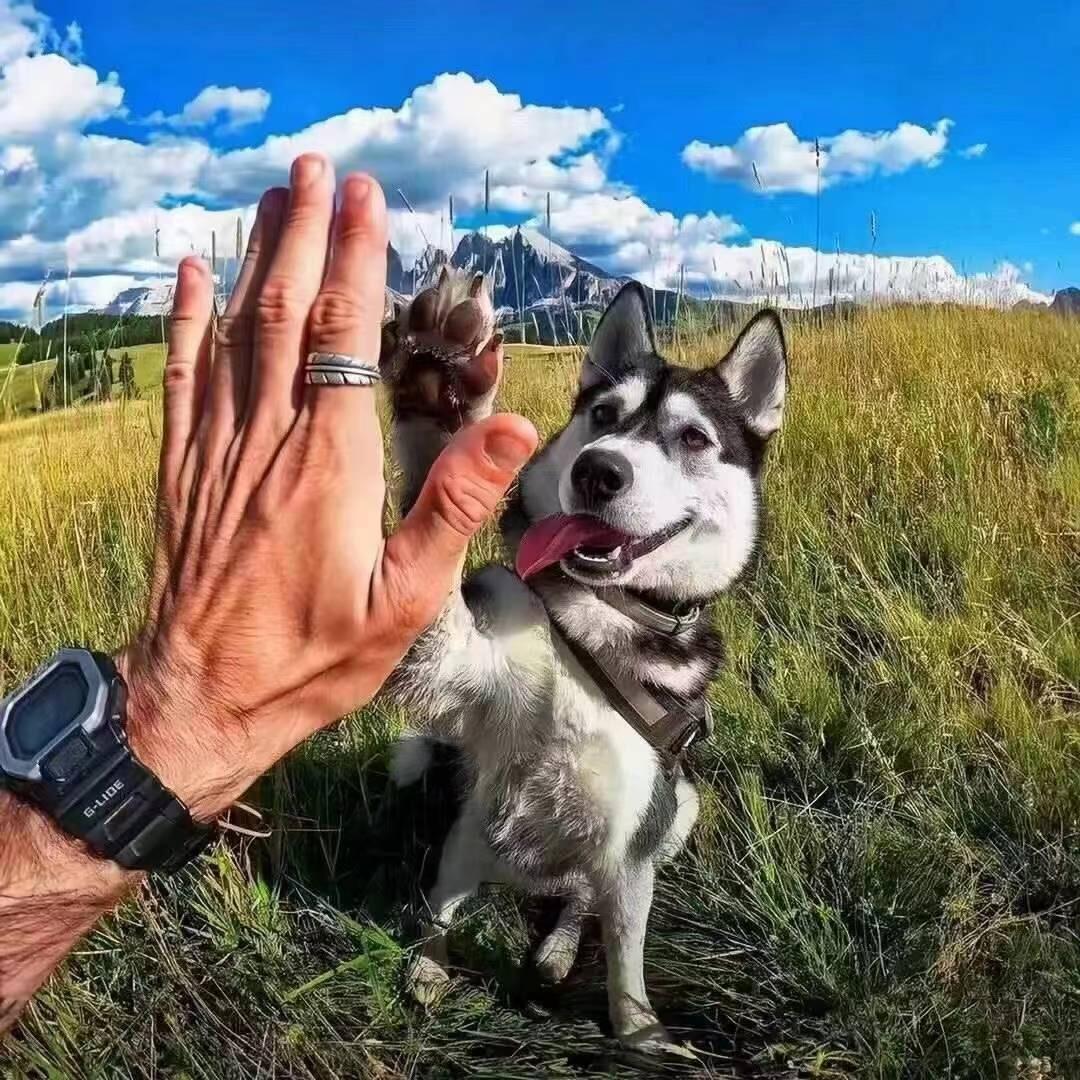 禾