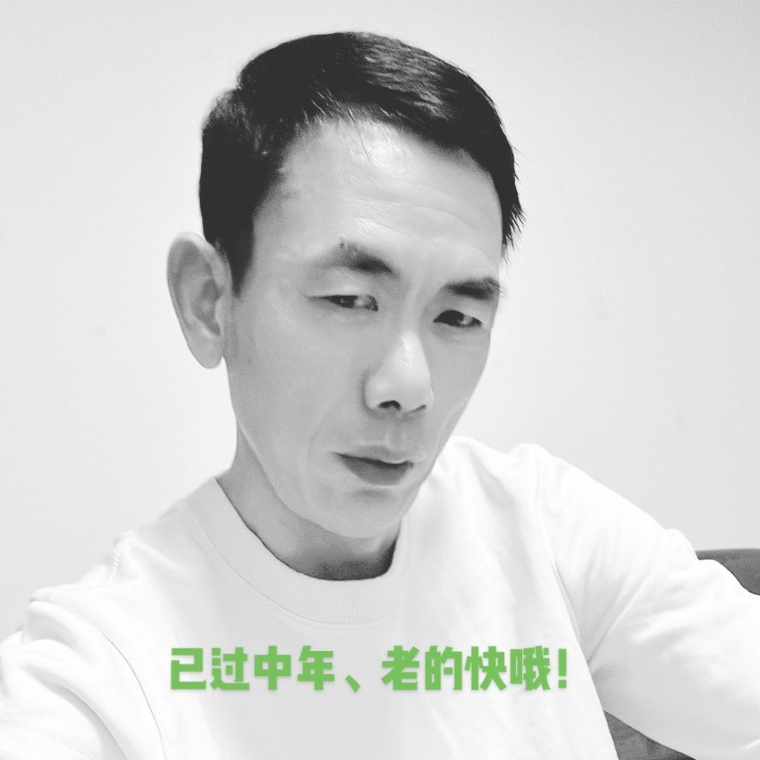 白桦枫叶