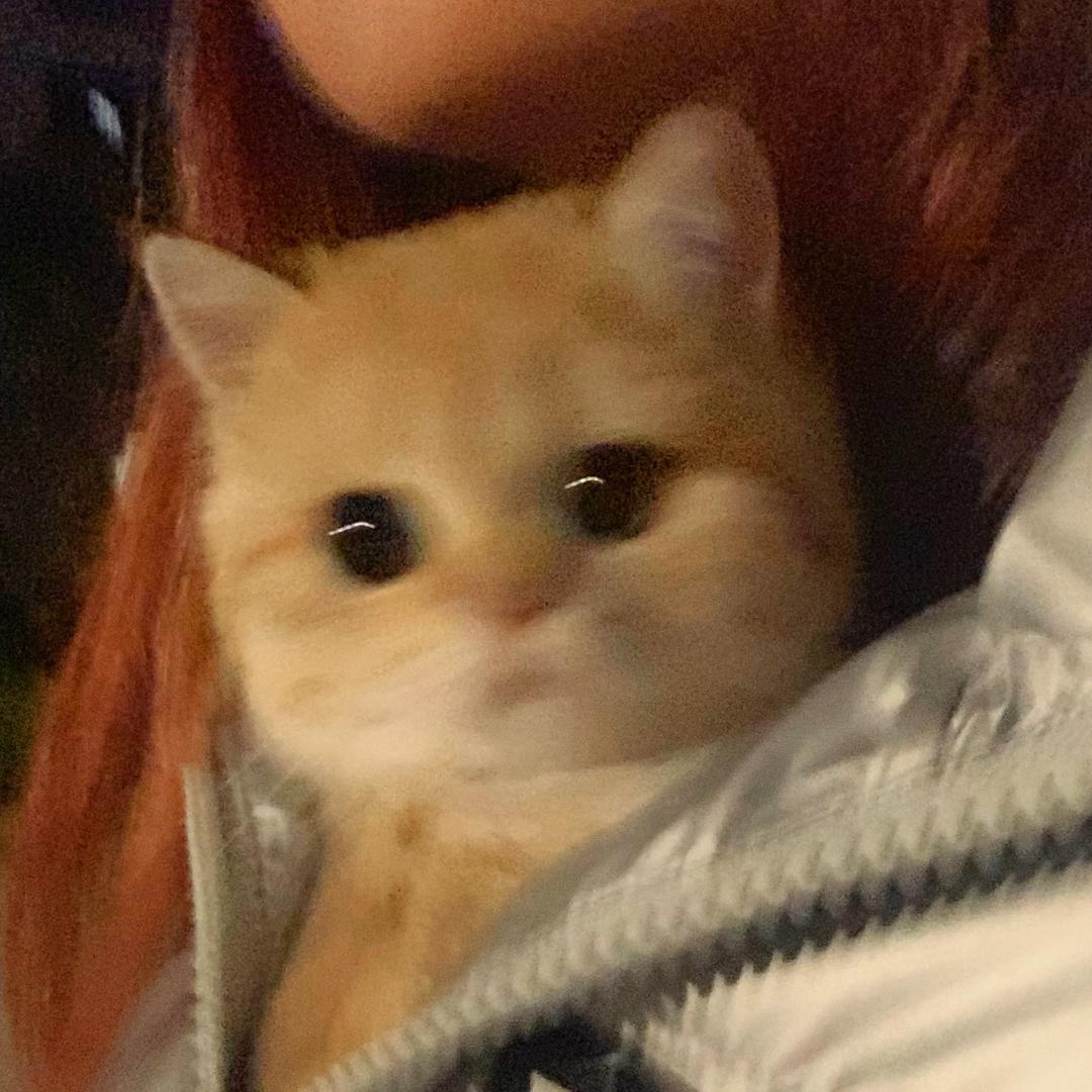 干饭小奶包