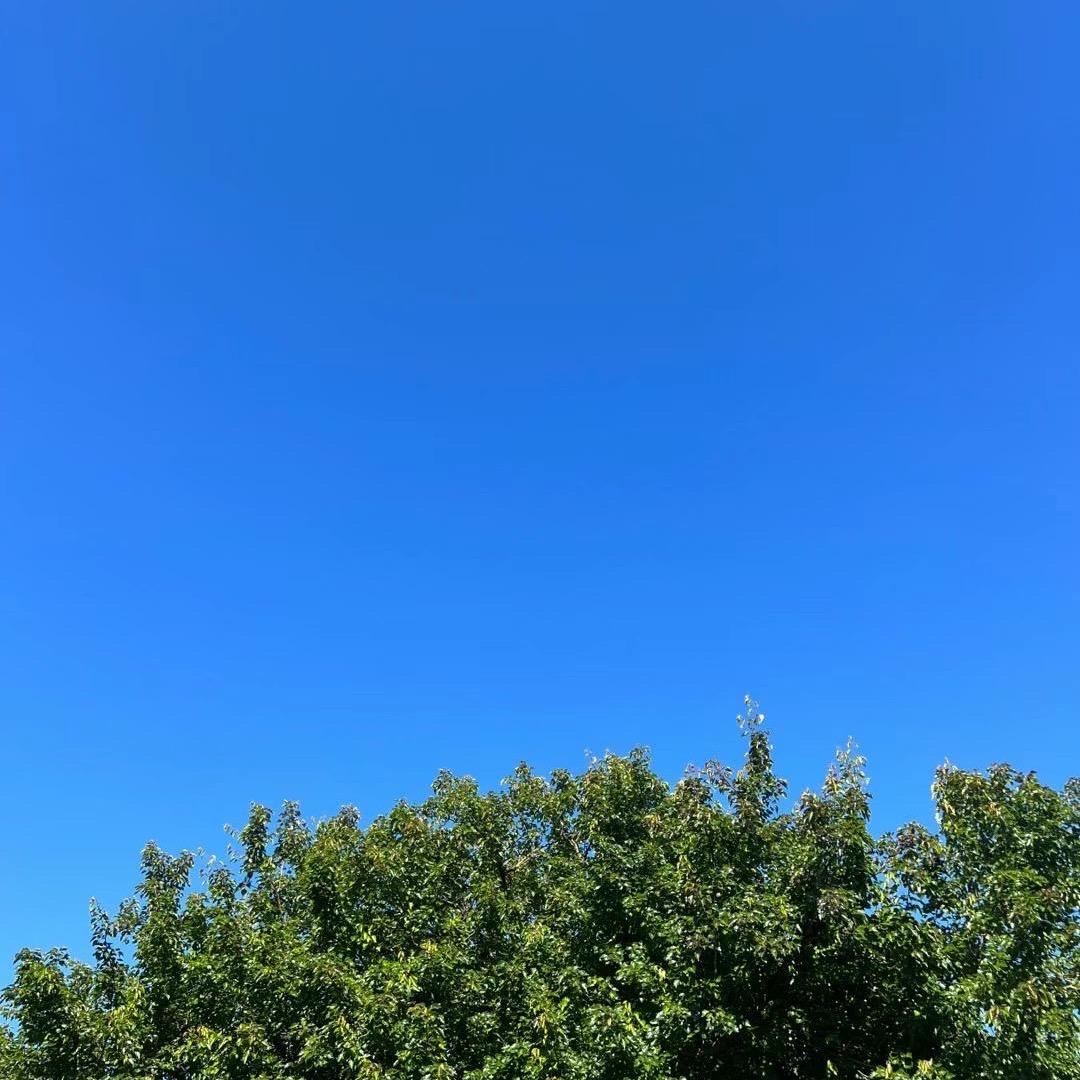 非凡公子